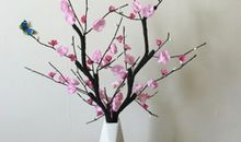 桌上的梅花爪印