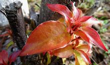 春让大地生机盎然