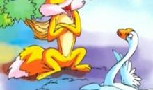 狐狸与我观后感