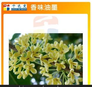 更多墨水香气