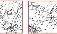 小白兔的气球飞走了看图写话