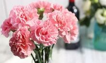 友情滋润了我的心田