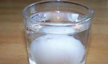 白醋泡鸡蛋作文300字三年级