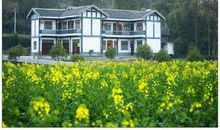 十年未回的故乡