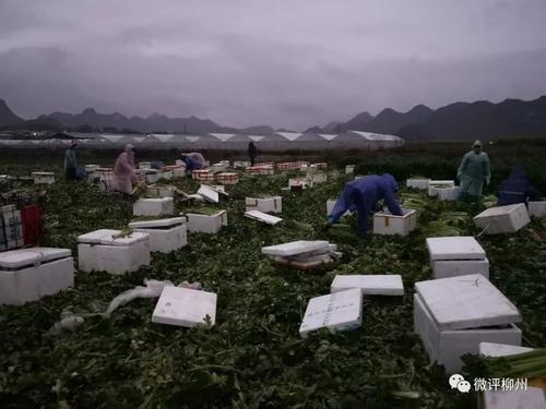 得到什么离开