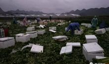 得到什么丢下什么