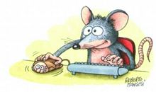 看图写话小老鼠玩电脑看到猫