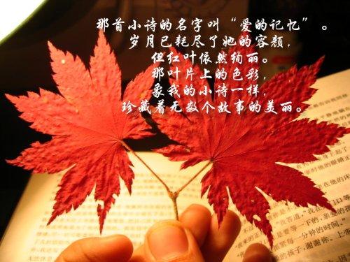 秋天的怀念
