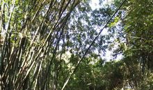 我和弟弟快乐的一天