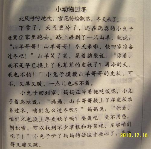 我最喜欢的动物作文300字三年级2