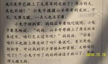 我最喜欢的动物作文300字三年级下册