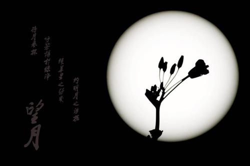 童年的明月