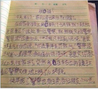 流浪狗歌曲作文400字