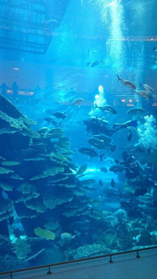 超市里的“水族馆”