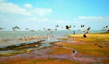 我爱家乡的鄱阳湖