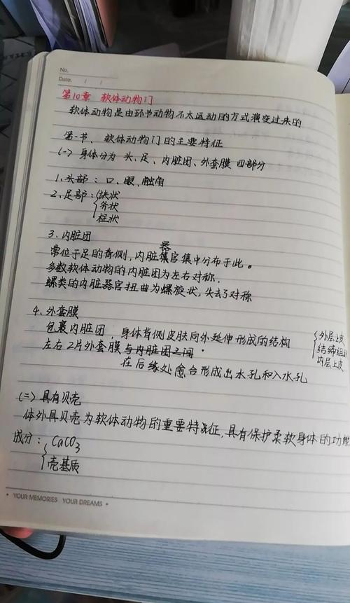 阅读后小小的小学霸王成长