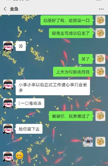 谢谢您的安慰