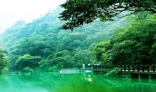 这个夏天你最火