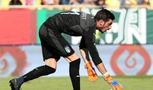 零距离接触“菲特”