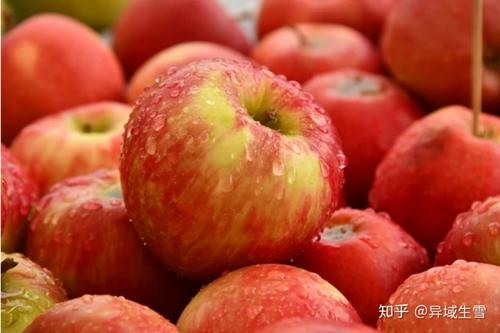 从嘴里说
