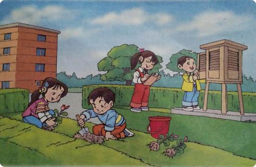 采摘水果，看图片和写字
