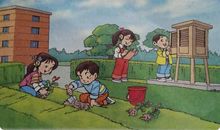 摘果子看图写话