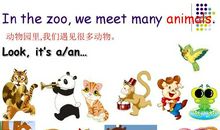 我家是个动物园作文450字四年级