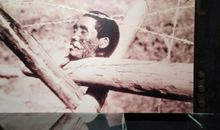 铭记在心中的数字