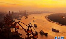 美丽镇海从我做起