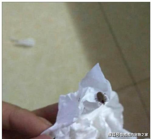 不好的一天