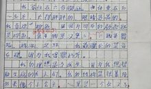 春天来了作文300字左右