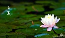 蛋王争霸赛作文三年级