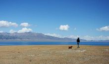 我心爱的小狗——“小花”