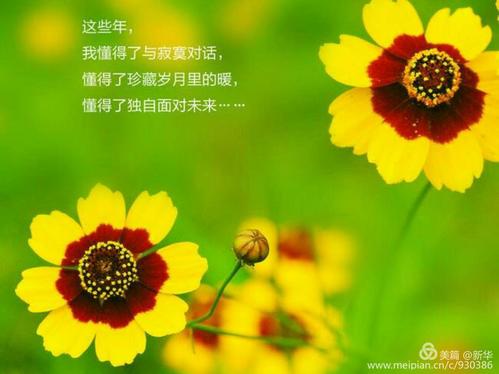 宽容地浇灌灵魂之花