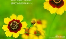 用宽容浇灌心灵之花