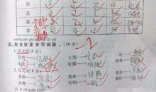 可以写出一个人的特点吃货作文