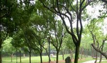 美丽的黄岩绿道