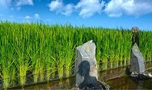 还城市一片蓝天