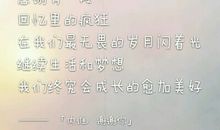 谢谢你，我的小玩具