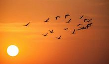 奋力拼搏雏鹰翱翔