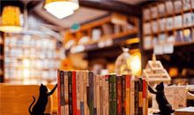 下雨的书店读后感