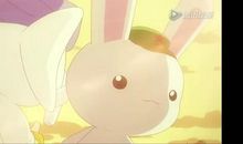 做了一次“兔子”