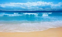 我终于见到大海了