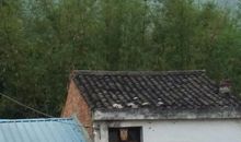 独特的乡下人家