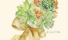 这就是我想要的