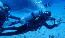 有趣的钓鱼经历