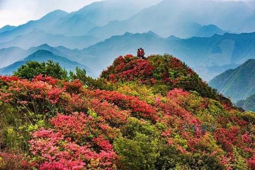 春季郊游中的一件事