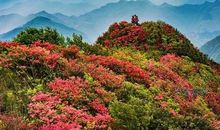 春游中的一件事