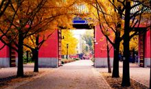 美丽的地坛公园