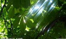 在大语文中成长